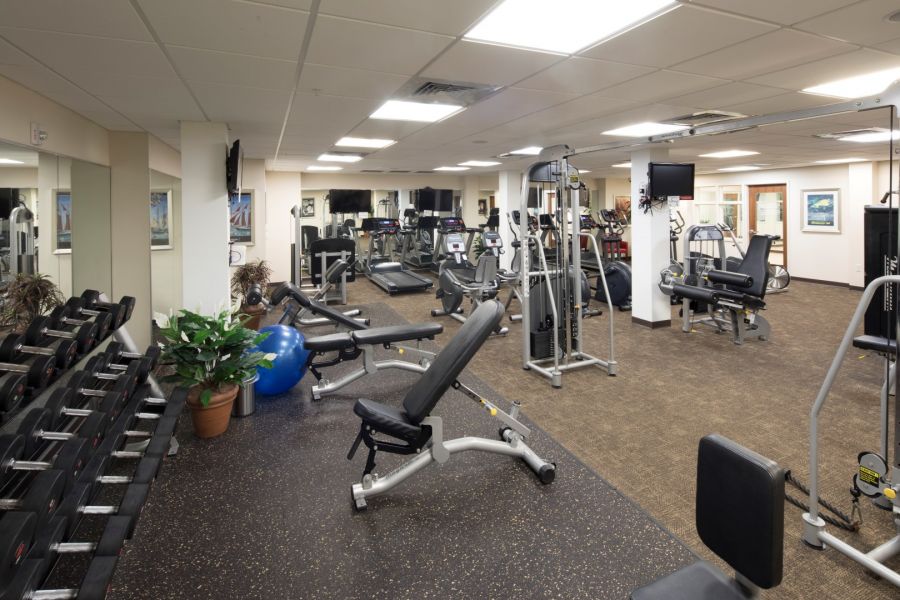 Attain Downtown East apartment homes with A spacious gym with various exercise machines, dumbbells, benches, plants, and wall-mounted TVs.