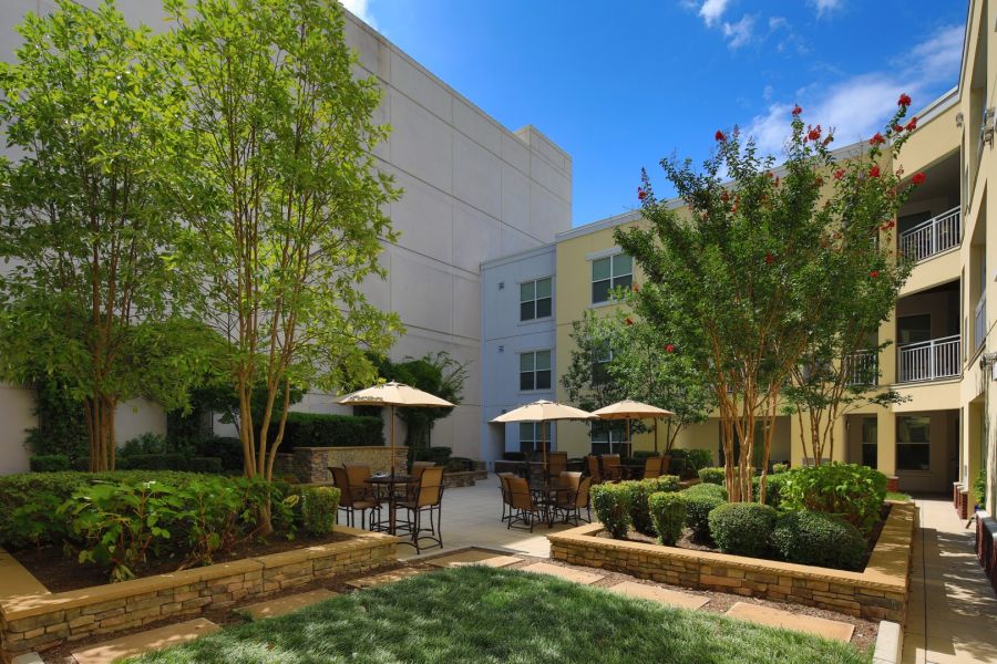 Attain Downtown East apartment homes with Sunny courtyard with green trees, patio tables, chairs, and umbrellas, surrounded by buildings.