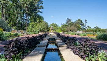 Norfolk Botanical Garden
