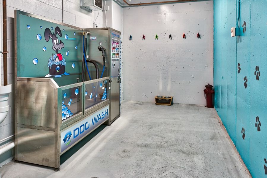 Attain Downtown apartment homes with Self-serve dog washing station in a clean room with paw print décor and a cartoon dog on the machine.